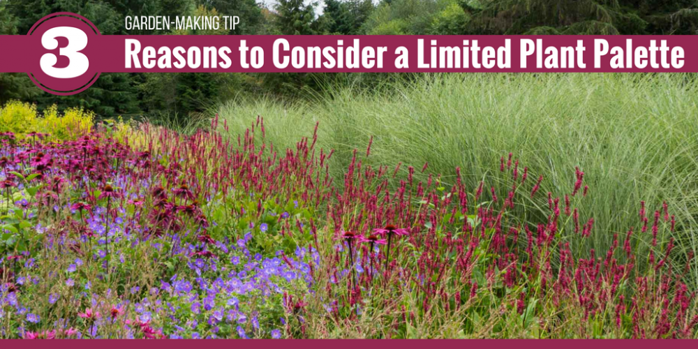 Garden-making Tip: 3 Reasons to Consider Using a Limited Plant Palette