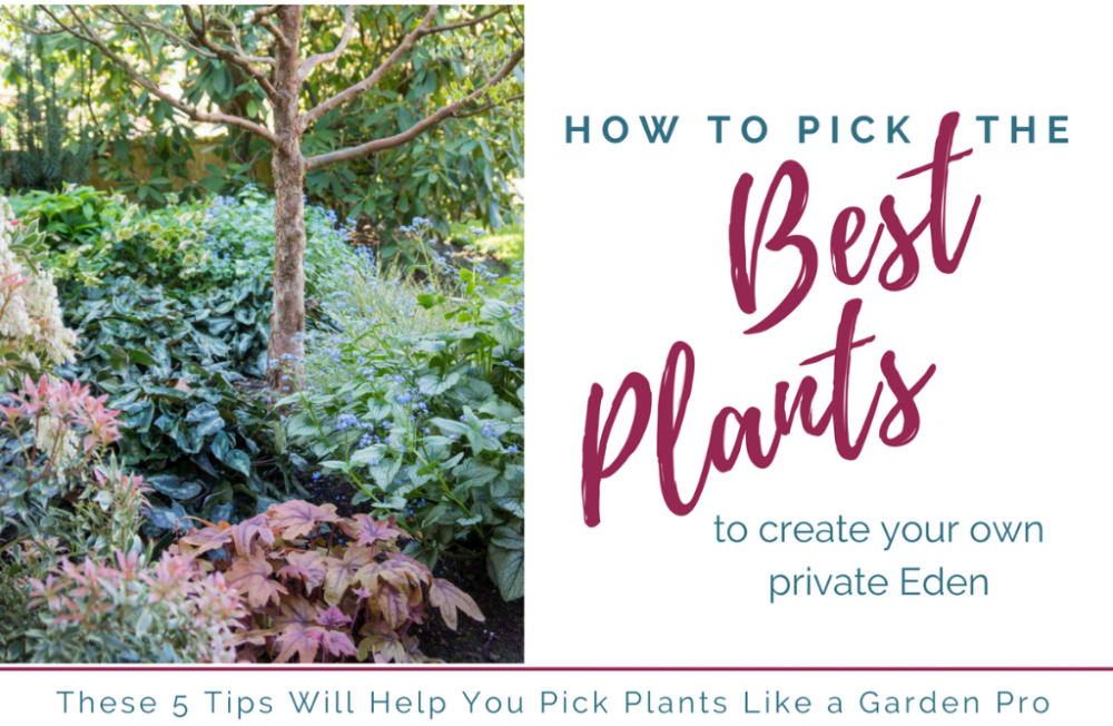 How to Pick the Best Plants for Your Private Eden