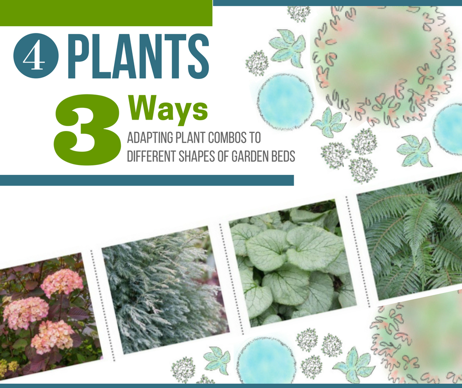 Four Plants, Three Ways: Adapting Plant Combos to Different Garden Layouts