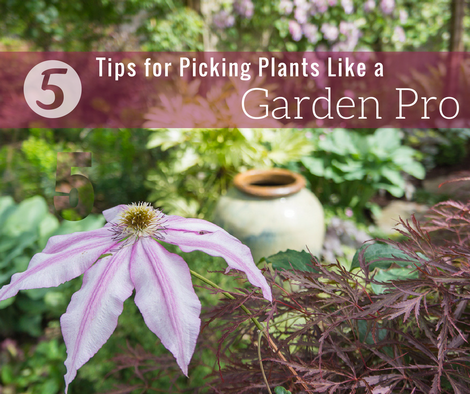 5 Tips for Picking Plants Like a Garden Design Pro