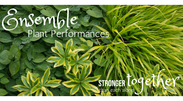Ensemble Plant Performances — Stronger Together Than Each Alone