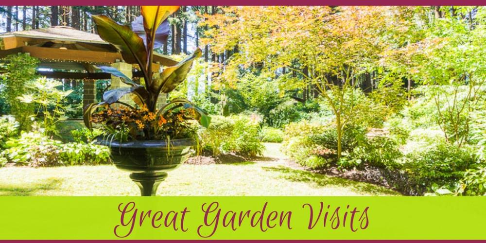Blog Category: Gardens
