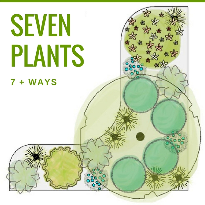 How to Use 7 Plants in 7+ Ways to Create a Beautiful Garden