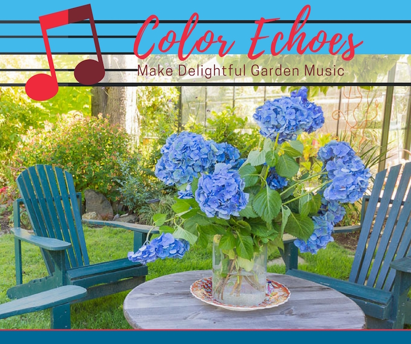 Use Color Echoes to Make Delightful Garden Music