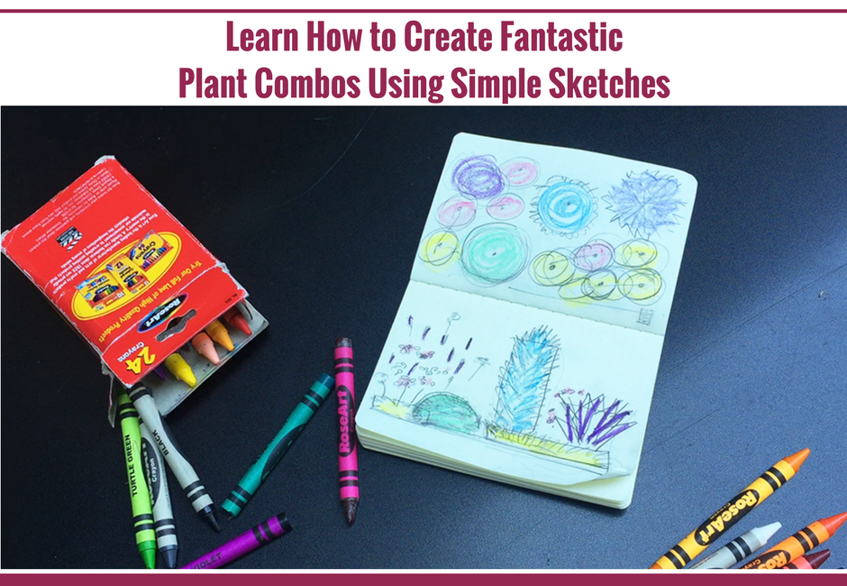 Learn How to Create a Fantastic Garden Using Simple Sketches