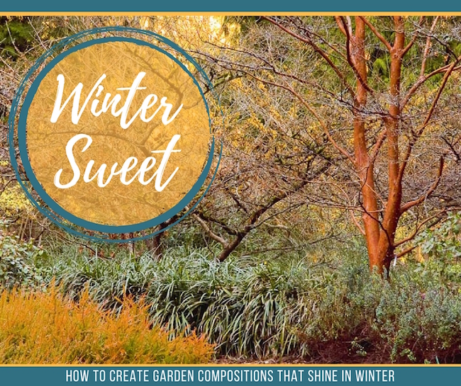 How to Create Garden Compositions That Shine in Winter